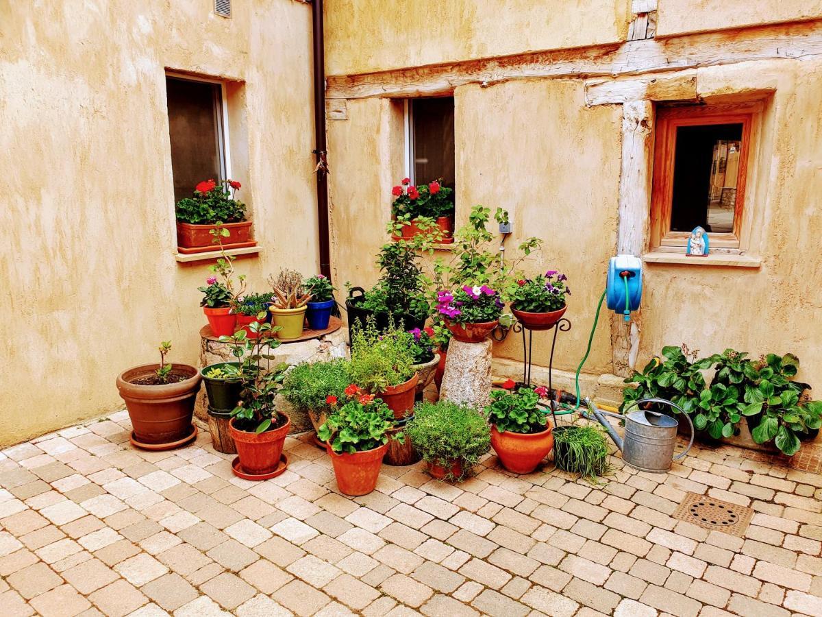 Auberge de jeunesse - Solo Peregrinos